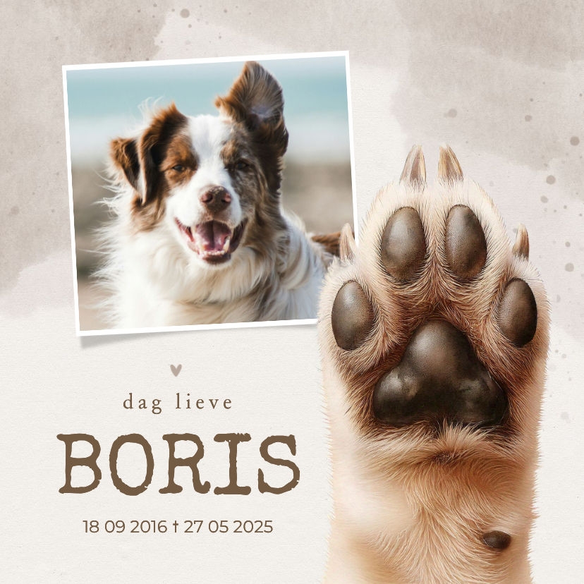 Tegeltje overlijden hond met poot en foto